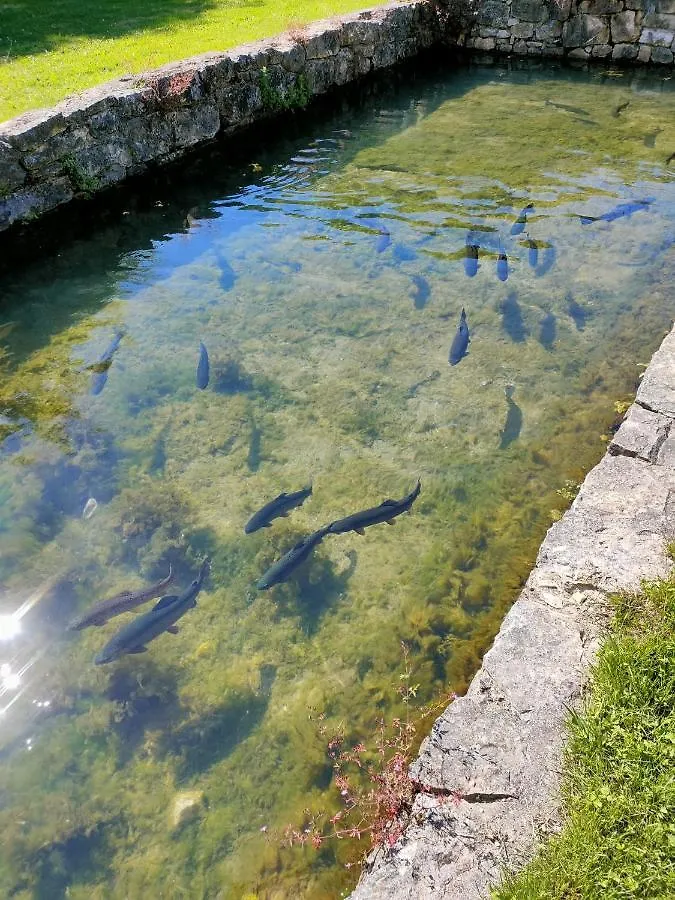 Les Pieds Dans L'Eau, Gite La Source Lachapelle-Auzac 0*,  France